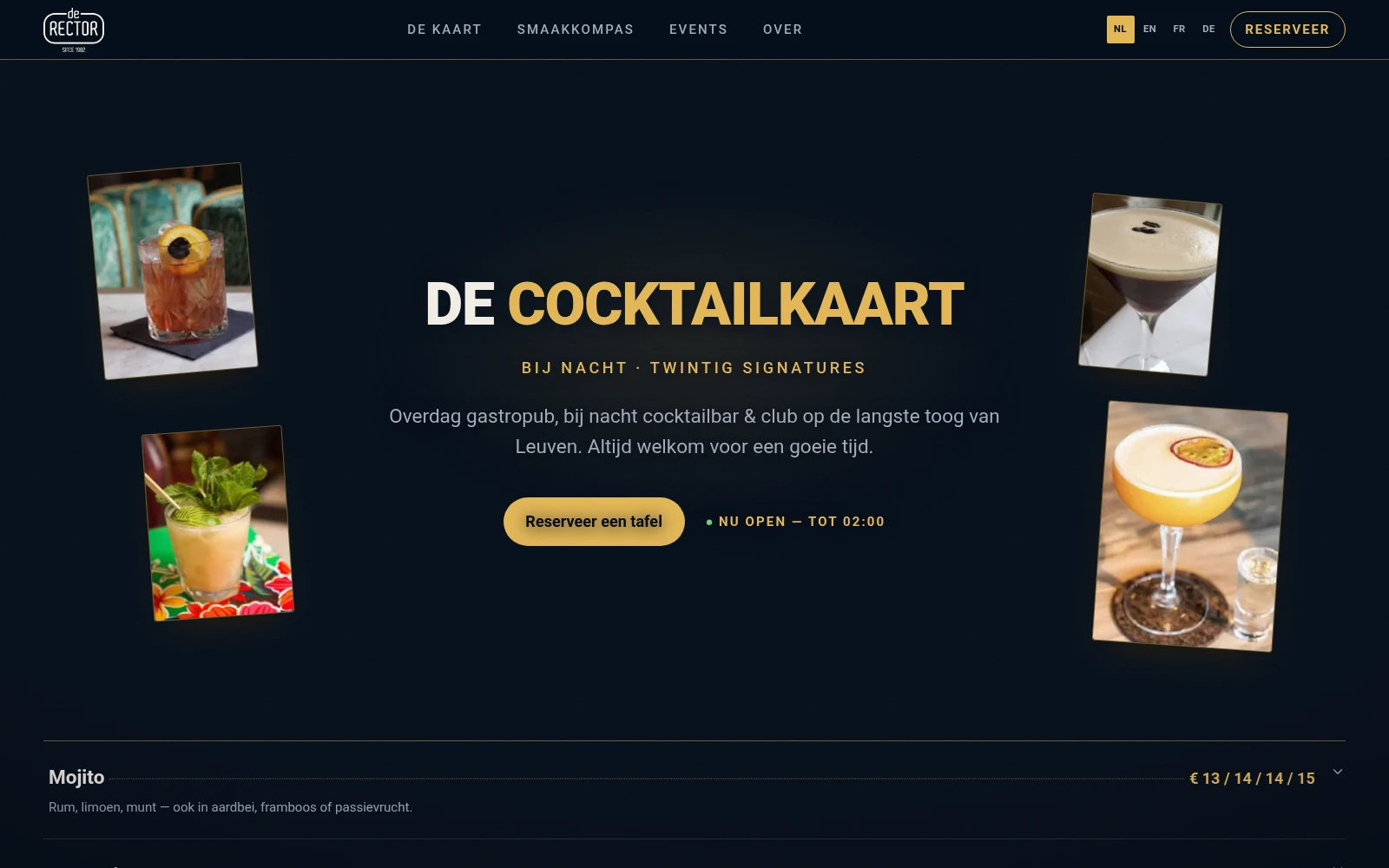 Pitchsite voor De Rector